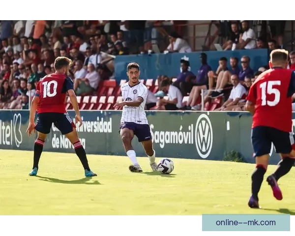 图卢兹夺法国杯冠军因红鸟资本关系遭欧联杯资格审查