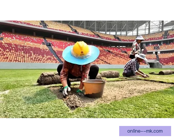 世界杯官方推出全新自热排水草坪提升比赛场地性能体验 世界杯官方推出全新自热排水草坪提升比赛场地性能体验